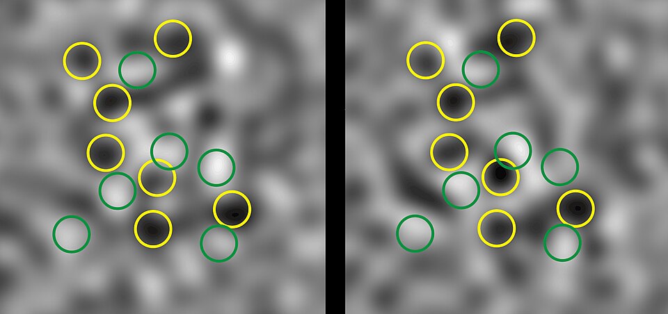 Quantum Embezzlement Revealed in One-Dimensional Fermion Chains