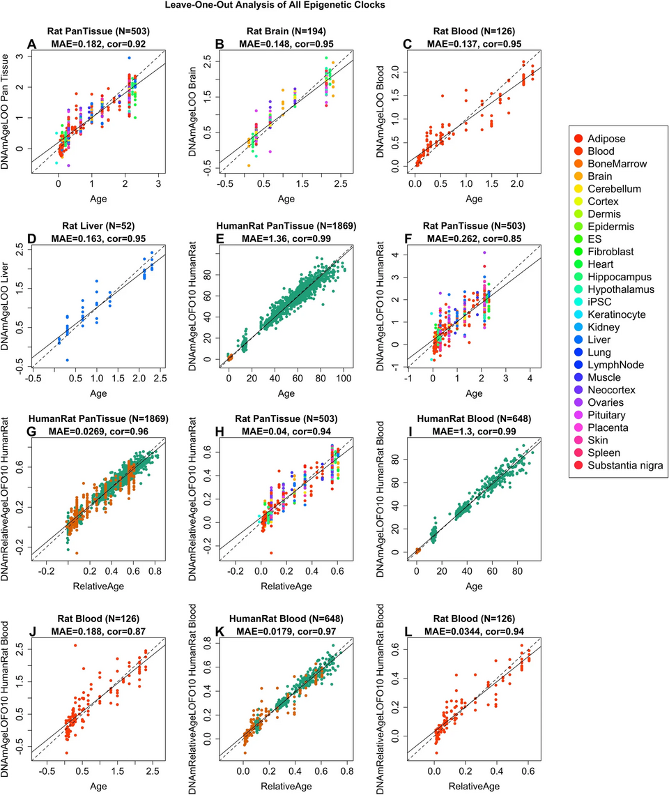 Understanding Biological Age: Strategies to Reduce It for Better Health