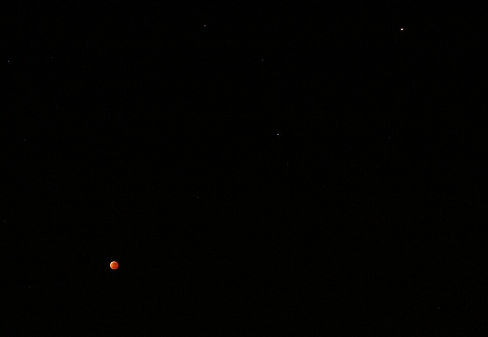 Celestial Alignment: Moon, Mars, and Regulus to Illuminate Night Sky