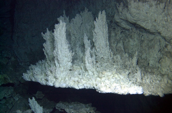 Exploring the Ancient 'Lost City' in the Atlantic Ocean: Insights and Threats