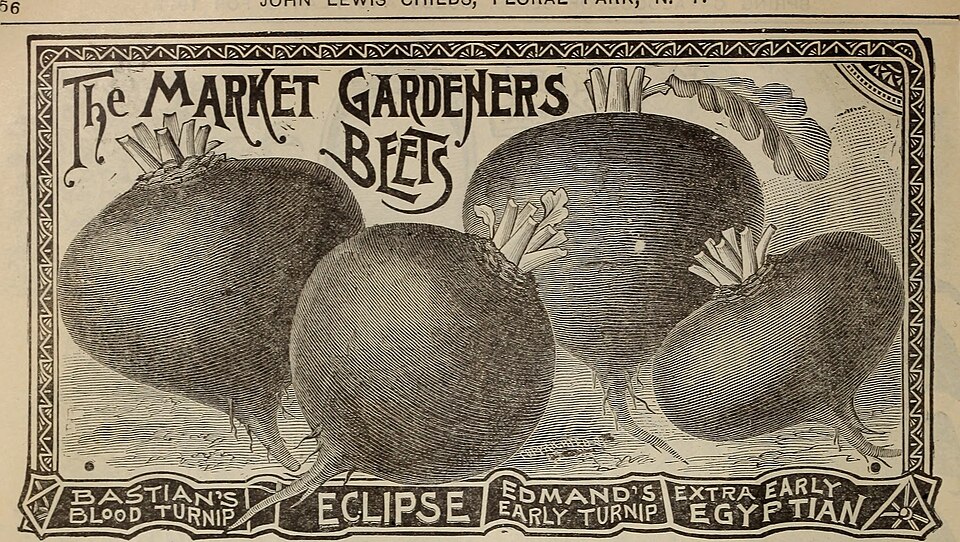 Unlocking the Rare Summer Egg in Grow a Garden: A Comprehensive Guide