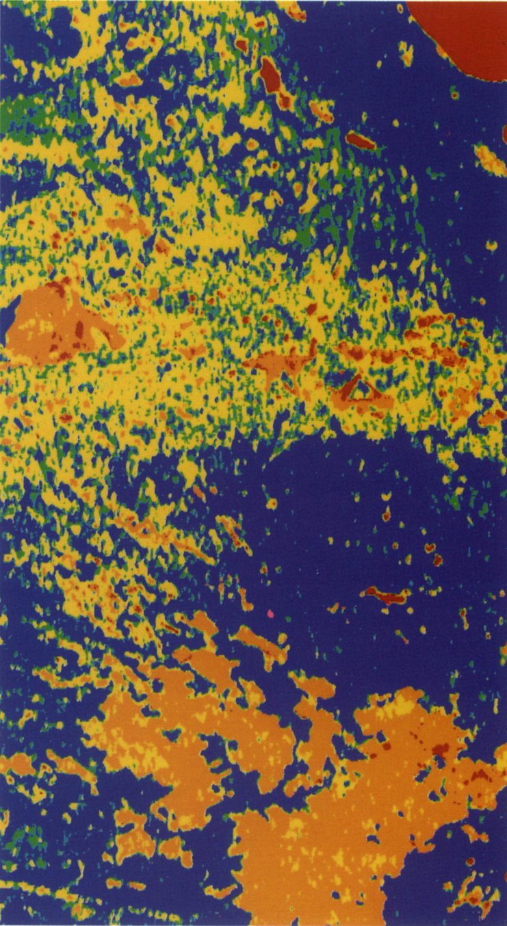 ESA's Biomass Satellite Unveils First Images of Global Forest Ecosystems