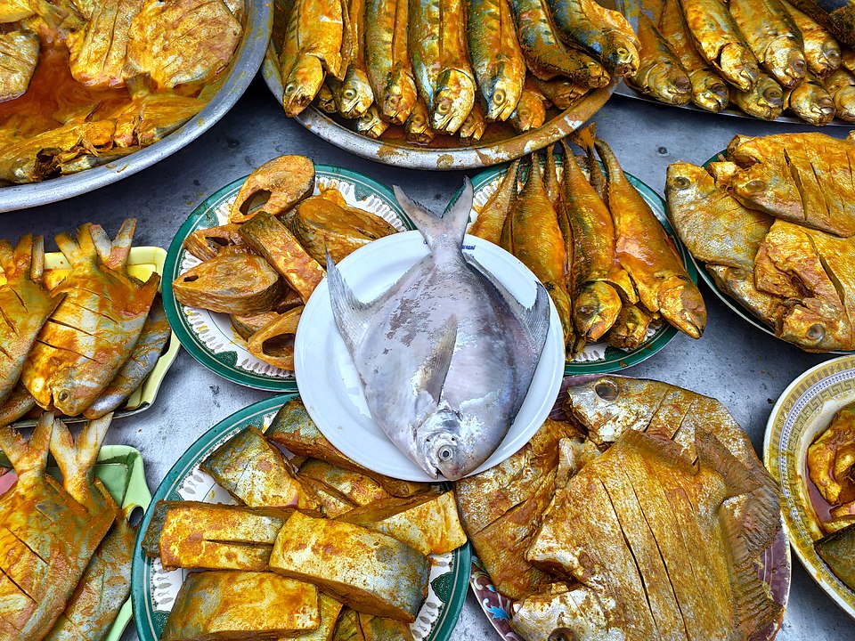 Shinkei Systems Secures $22 Million in Series A Funding for Seafood Robotics