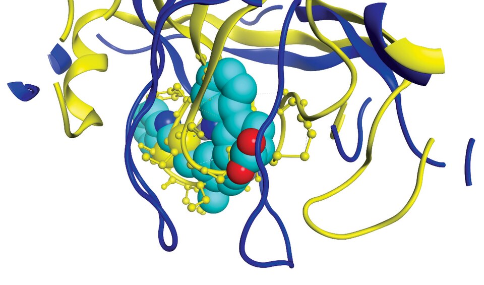 Breye Therapeutics Completes Phase 1b Trials for Danegaptide in NPDR