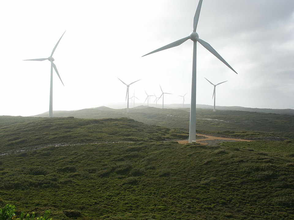 Future of Albany Grasmere Wind Farm in Balance as Upgrades Considered