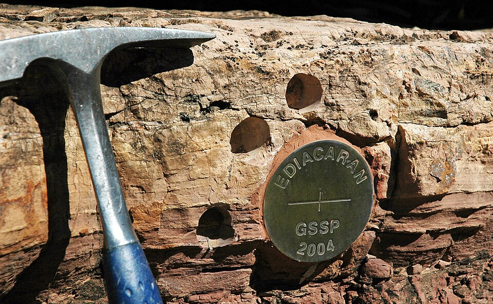 New Study Reveals Cambrian Explosion Occurred Earlier Than Expected
