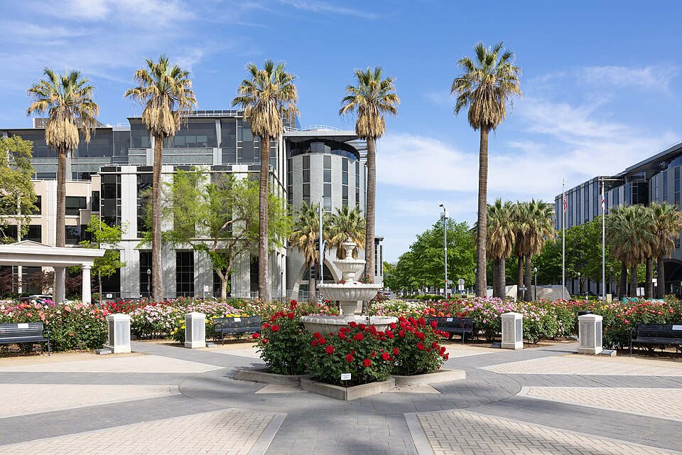 Annual Rose Pruning Event at Peace Park Set for July 13, 2025