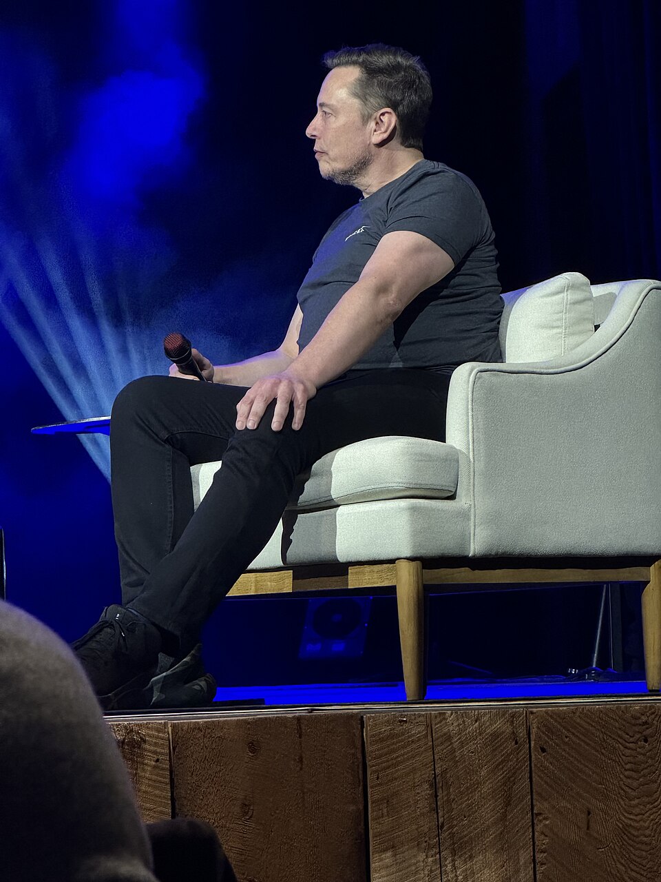 Elon Musk Critiques Trump's 'Big Beautiful Bill', Warns of Job Losses