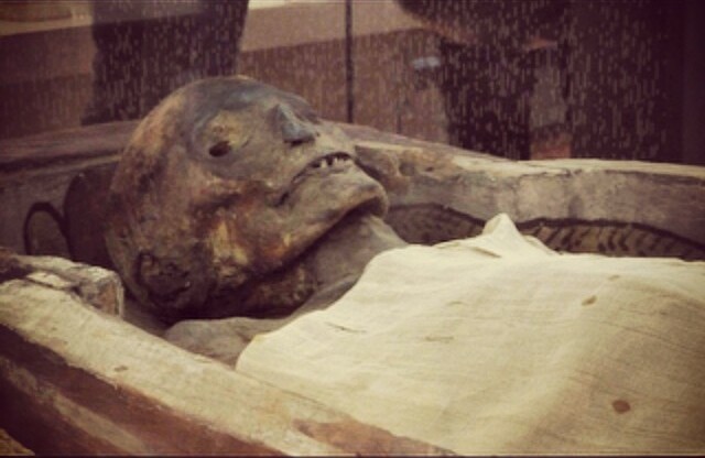 Manchester Museum Seeks Public Input on Display of Ancient Egyptian Body