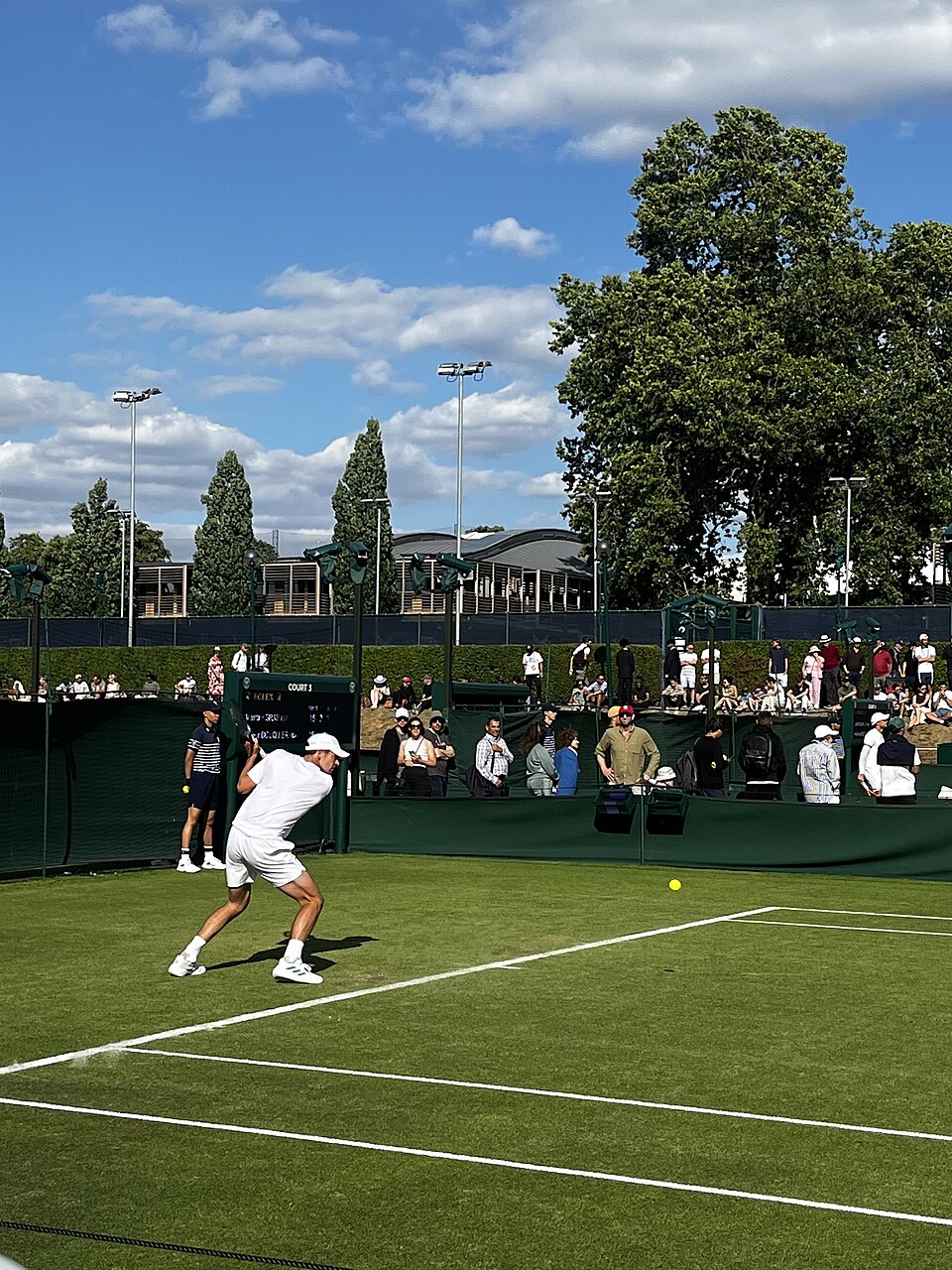 Wimbledon 2025: Match Schedule for Sinner, Alcaraz, and Djokovic