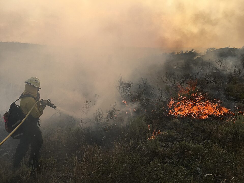 Tragic Sniper Attack Claims Lives of Firefighters in Idaho Wildfire Response