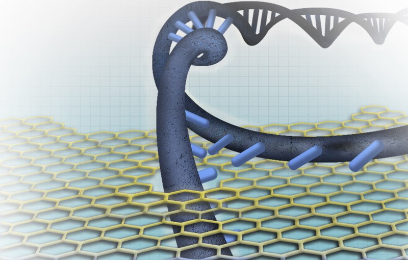 Innovative Nanopore Sensor Revolutionizes Fast, Affordable DNA Sequencing