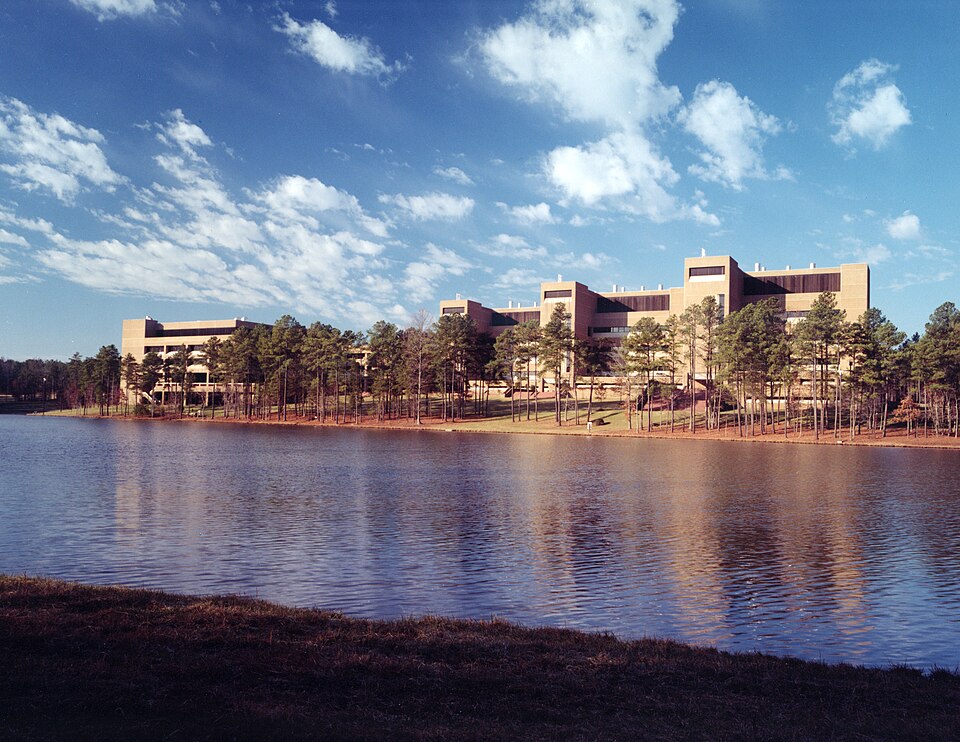 Exploring the Environmental Impact on Gut-Brain Axis: New Research Funding Approved