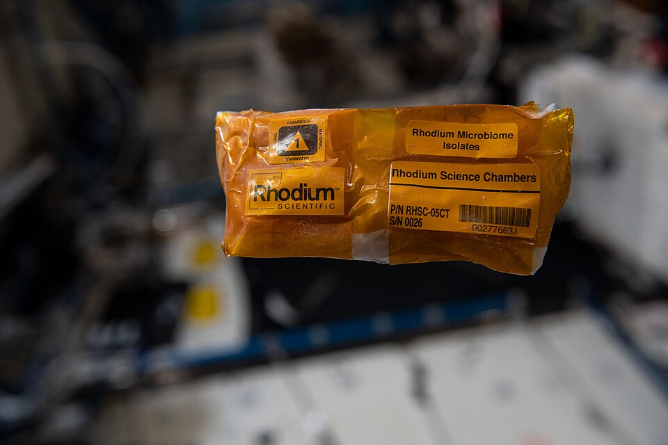 Impact of Spaceflight on Astronaut Gut Microbiomes: Health Risks and Solutions