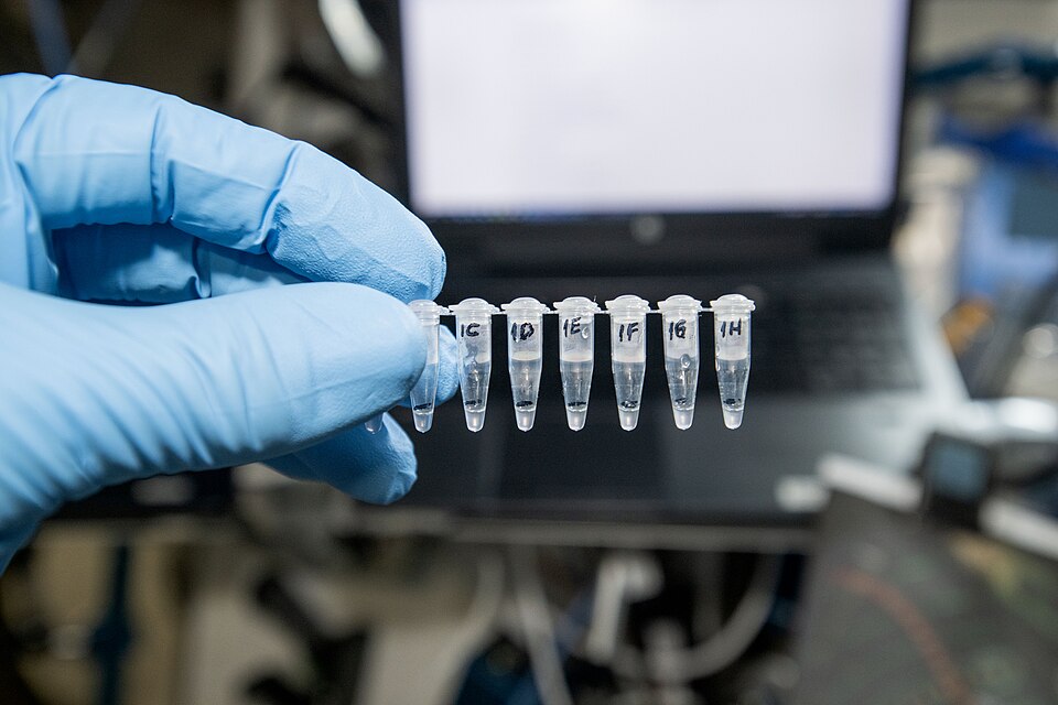 Exploring Scientific Frontiers: Ten Unique Experiments on the ISS