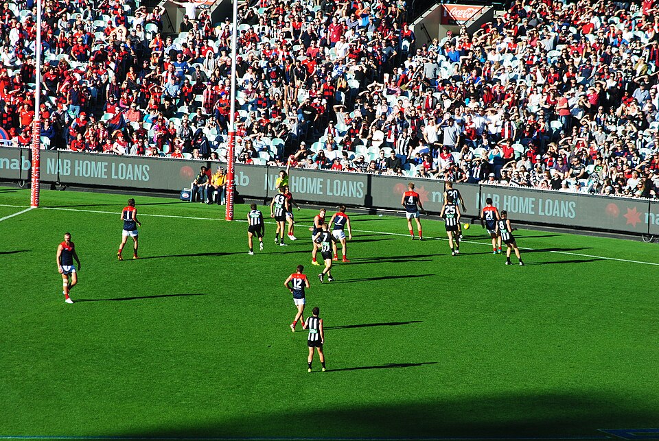 AFL Players' Association Critiques New Penalties for Umpire Contact