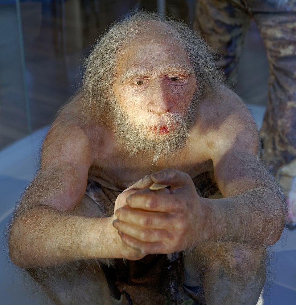 Discovery of 125,000-Year-Old Neanderthal 'Fat Factory' Sheds Light on Early Human Survival Strategies