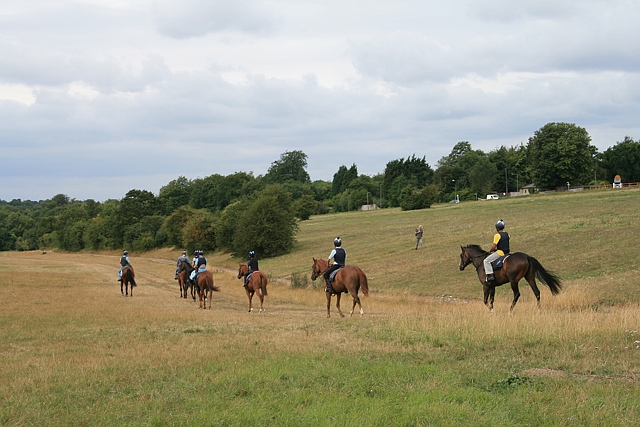 Epsom Downs Hosts Competitive Betfred 'Bet Builder' Apprentice Handicap