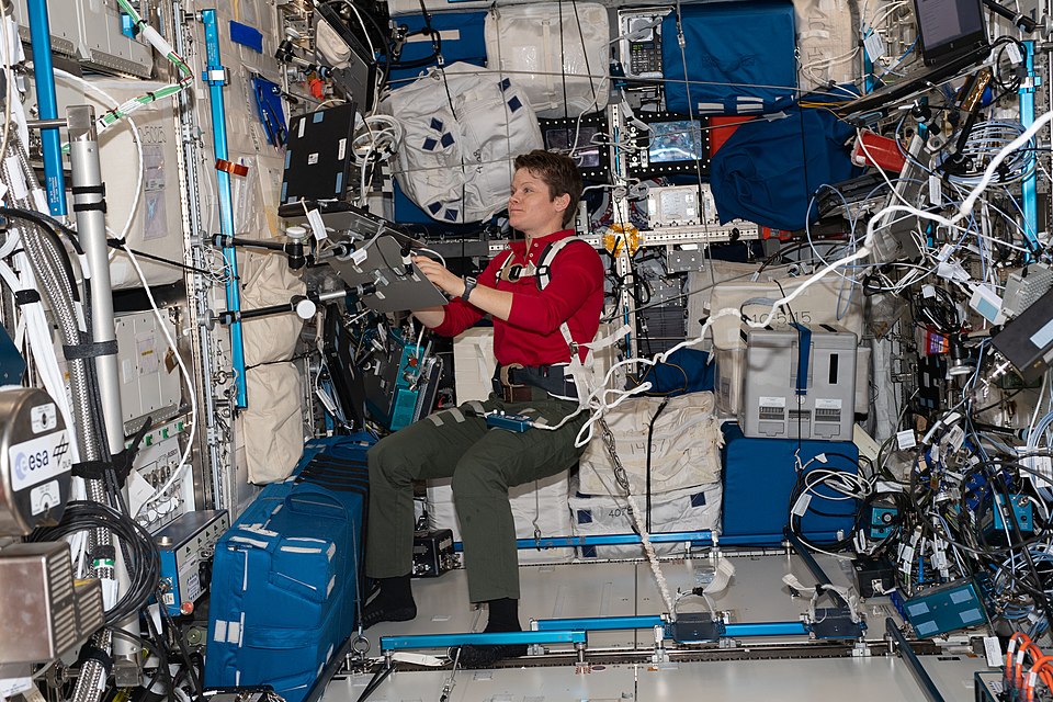 NASA's Latest Brain Research at ISS Prepares for Upcoming Cargo Mission