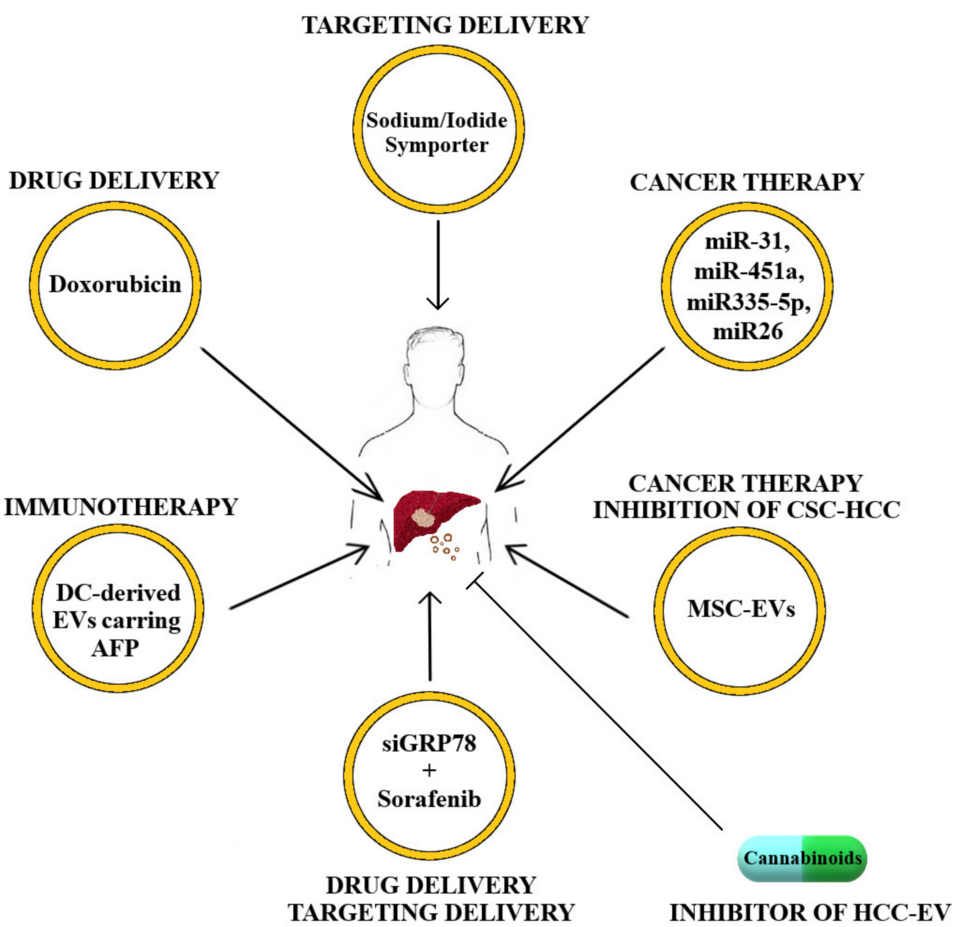 Combination Therapy of TACE, Atezolizumab, and Bevacizumab Enhances PFS in HCC