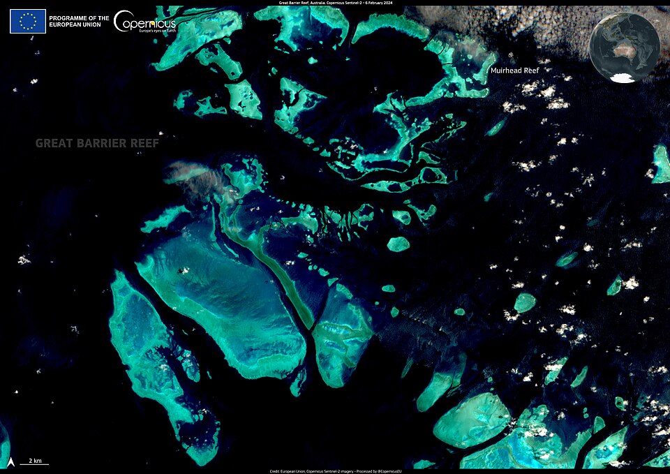 Drone Imagery Reveals Alarming Coral Mortality Rates at Lizard Island