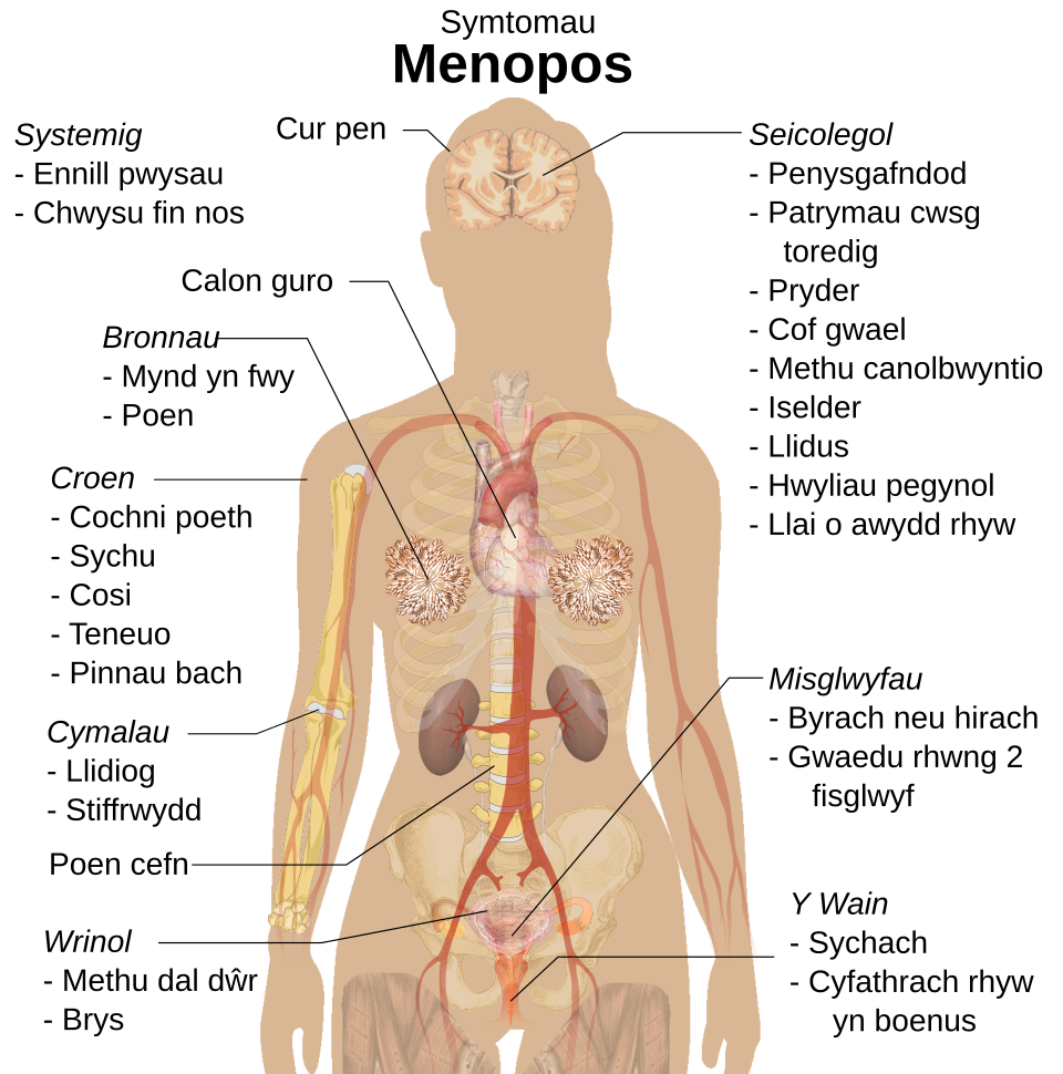 Impact of Stress and Smoking on Menopause Symptoms in Working Women