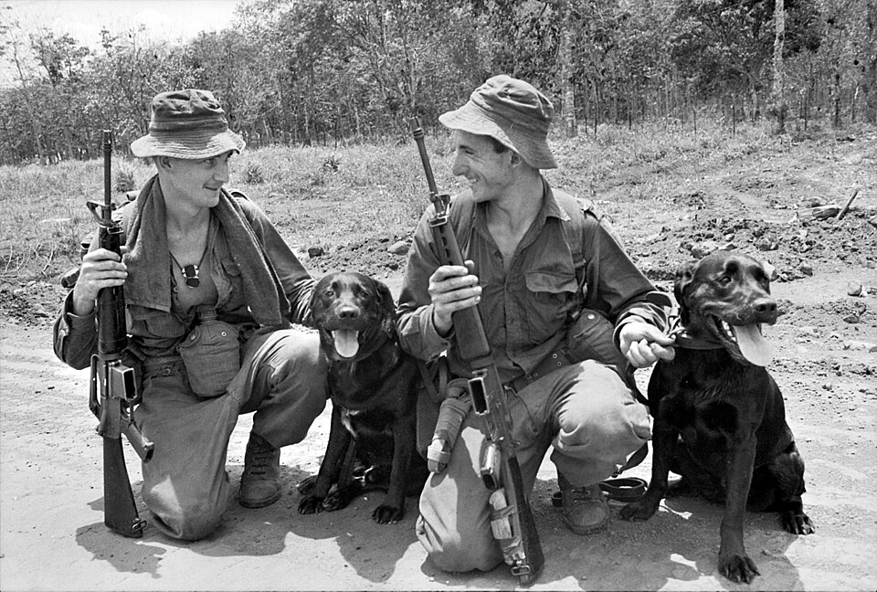 Bruno the Heroic Sniffer Dog Tragically Killed in Italy