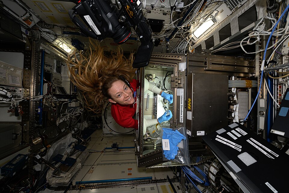 Recent NASA Research Highlights Advances in Space Life Sciences