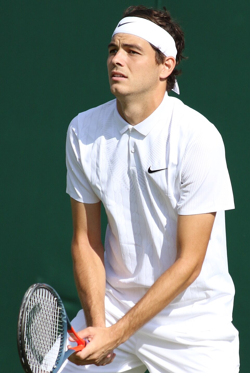 Taylor Fritz Advances to Wimbledon Semifinals Amid Grasscourt Dominance