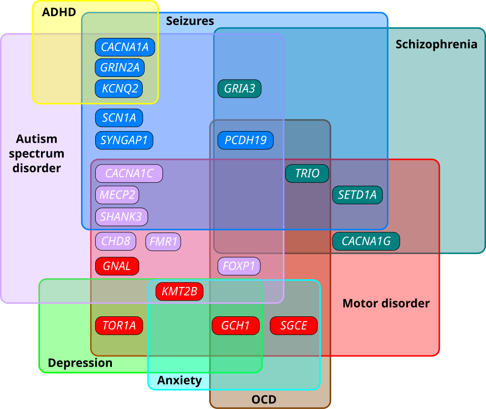 New Research Identifies Four Unique Autism Subtypes with Genetic Links