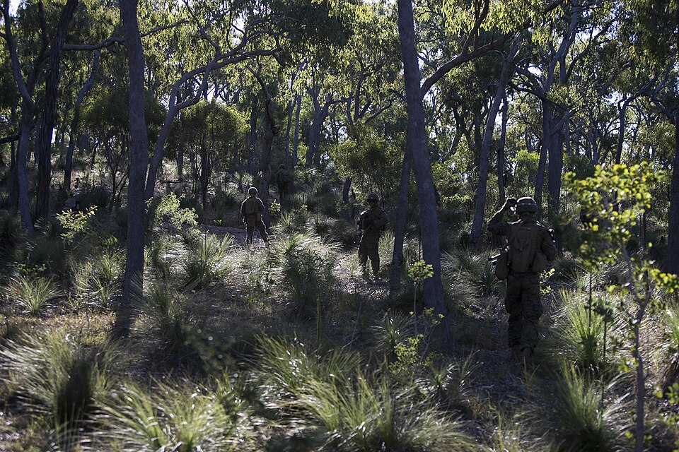 Search Intensifies for Missing German Tourist in Australian Outback