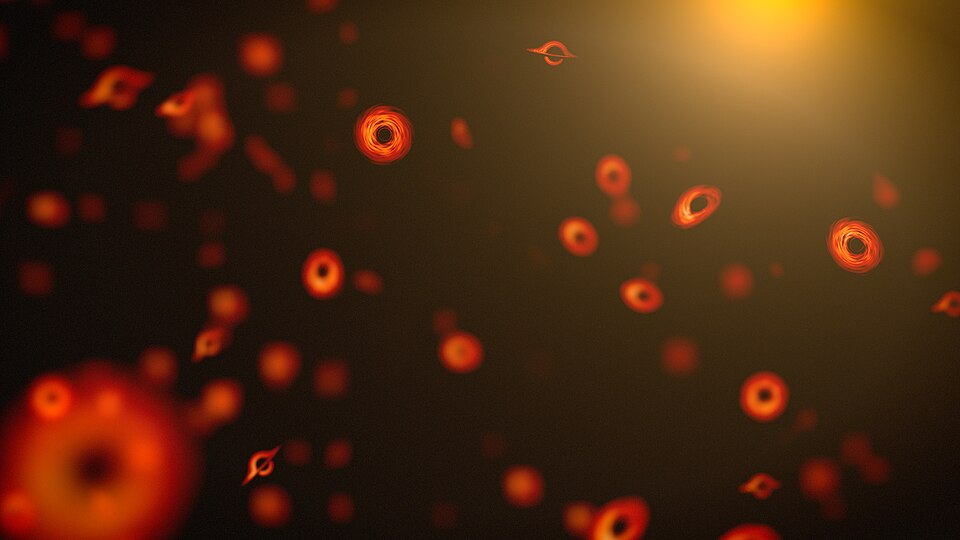 Impact of Primordial Black Holes on Exoplanet Orbits: New Research Insights