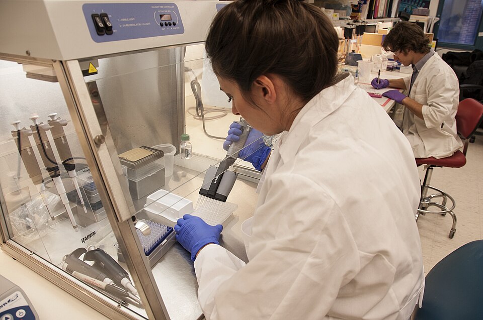 Breakthrough in Stem Cell Research: Lab-Grown Mini Amniotic Sacs Unveiled