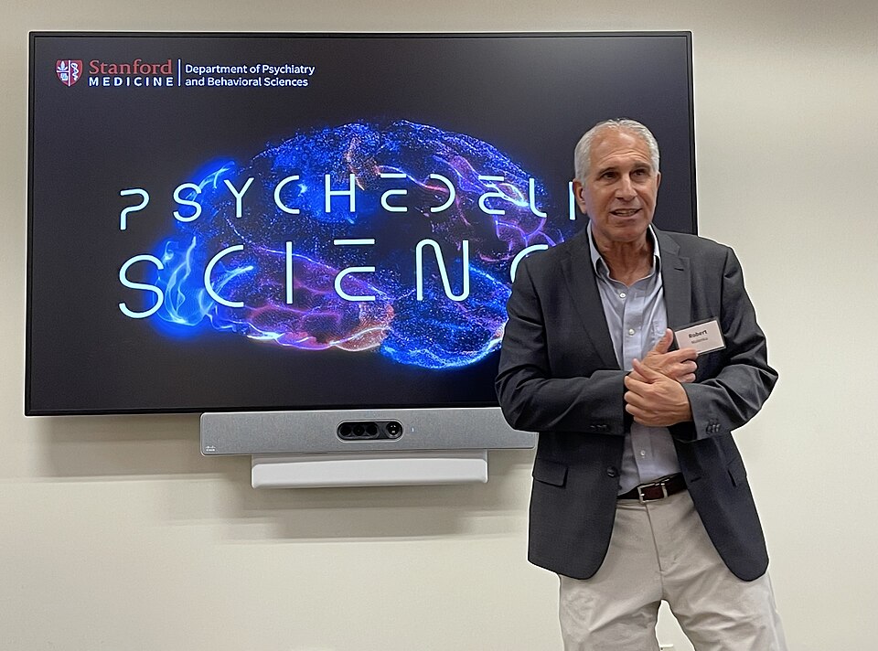 New Study Identifies Brain Activity Patterns for MDMA Therapy Success