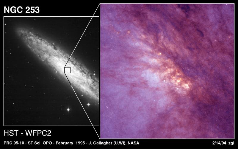 Sculptor Galaxy Revealed: Insights into Star Formation Dynamics