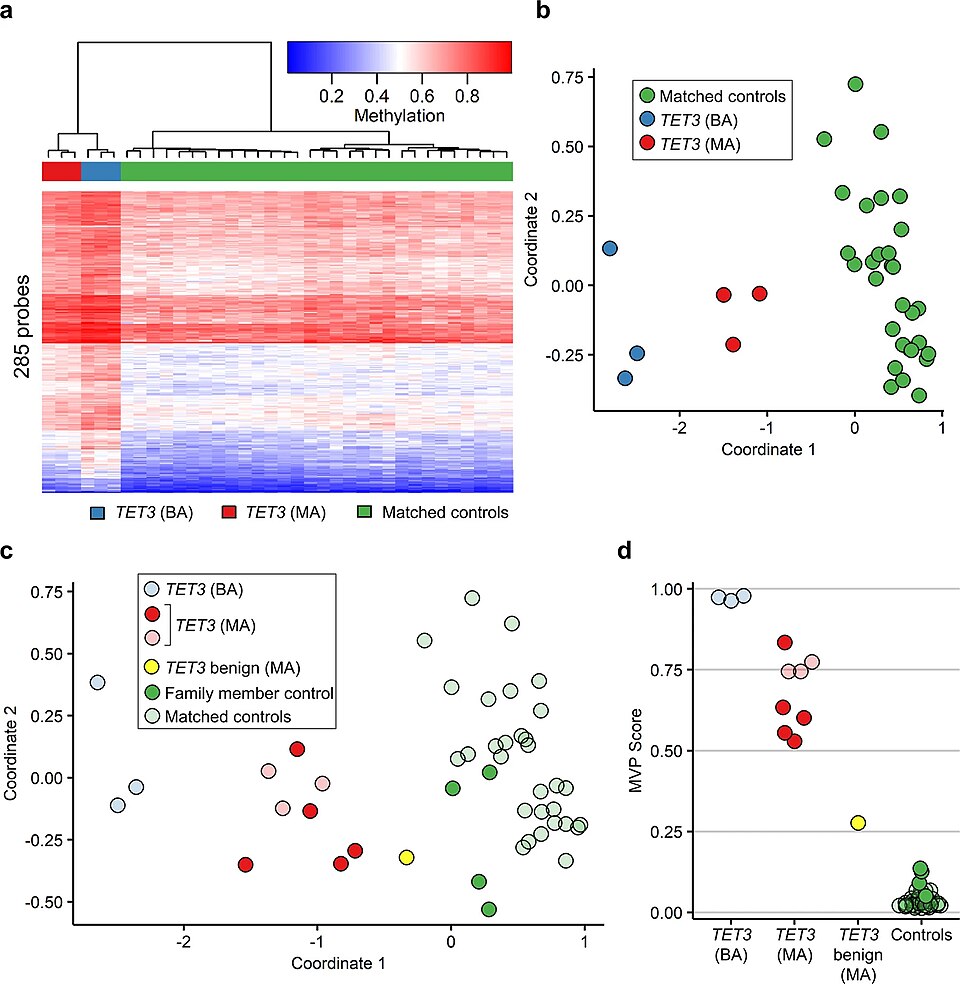 Van Andel Institute Innovates DNA Methylation Profiling Technique
