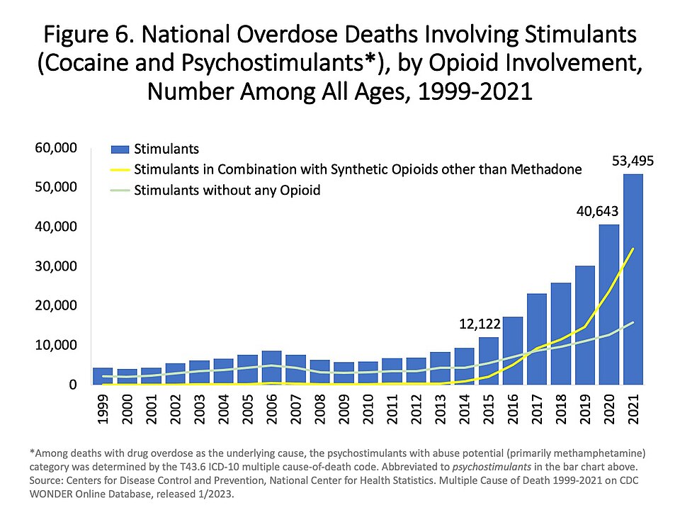 Stimulant Use Linked to Rising Opioid-Related Deaths in North America