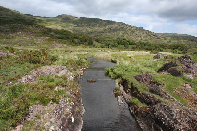 New Research Unveils Mechanisms Behind River Channel Splitting
