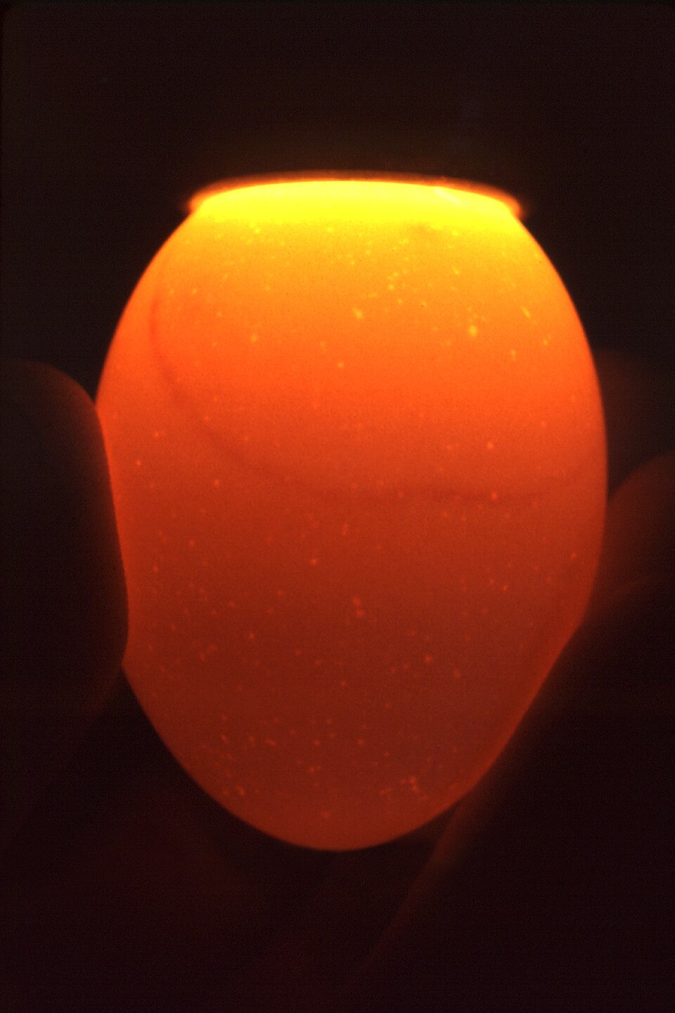 Research Unveils Longevity Mechanism in Human Eggs: A Breakthrough
