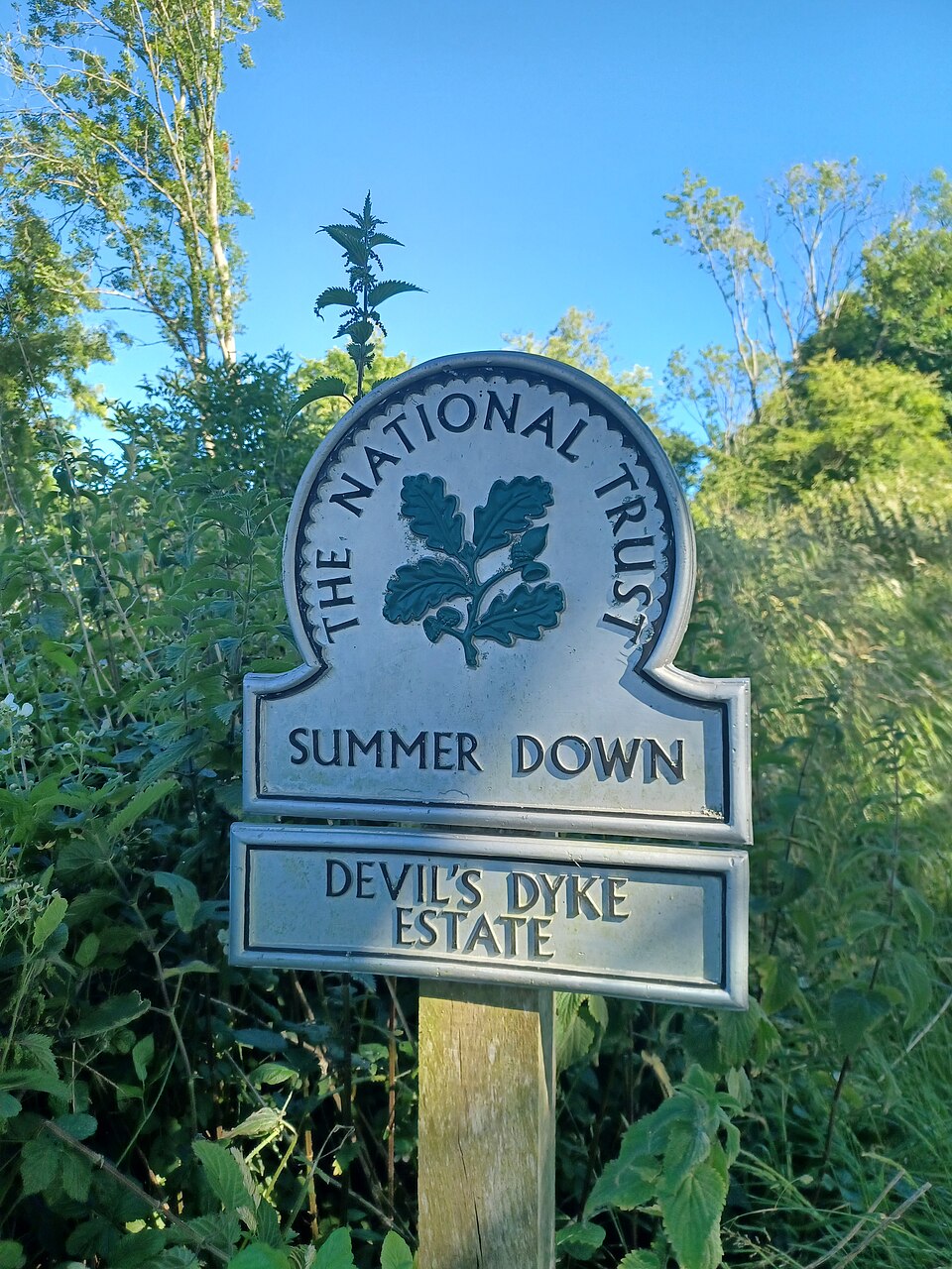 National Trust Launches Engaging Summer Events Across England