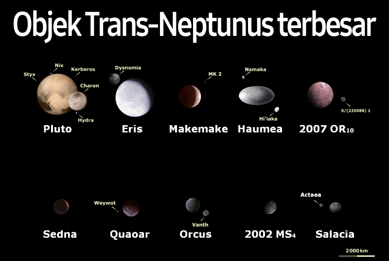 New Trans-Neptunian Object 'Ammonite' Challenges Planet Nine Theory