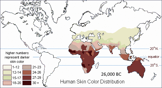 Human Adaptation to Solar Radiation During Earth's Magnetic Weakening
