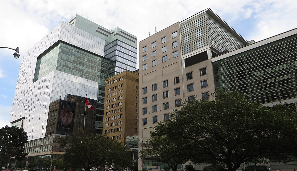 Ontario Cancer Surgeries Lag Behind Recommended Timelines: 2024 Report