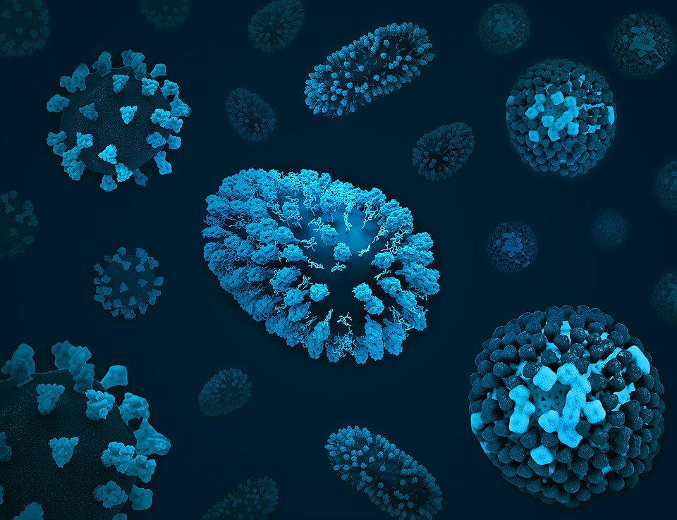 Winter Respiratory Illnesses: COVID, Flu, and RSV Trends and Protection