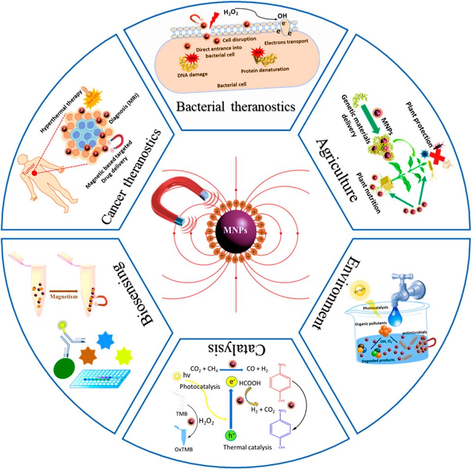 Revolutionary Magnetic Drug Delivery Method Enhances Precision Medicine