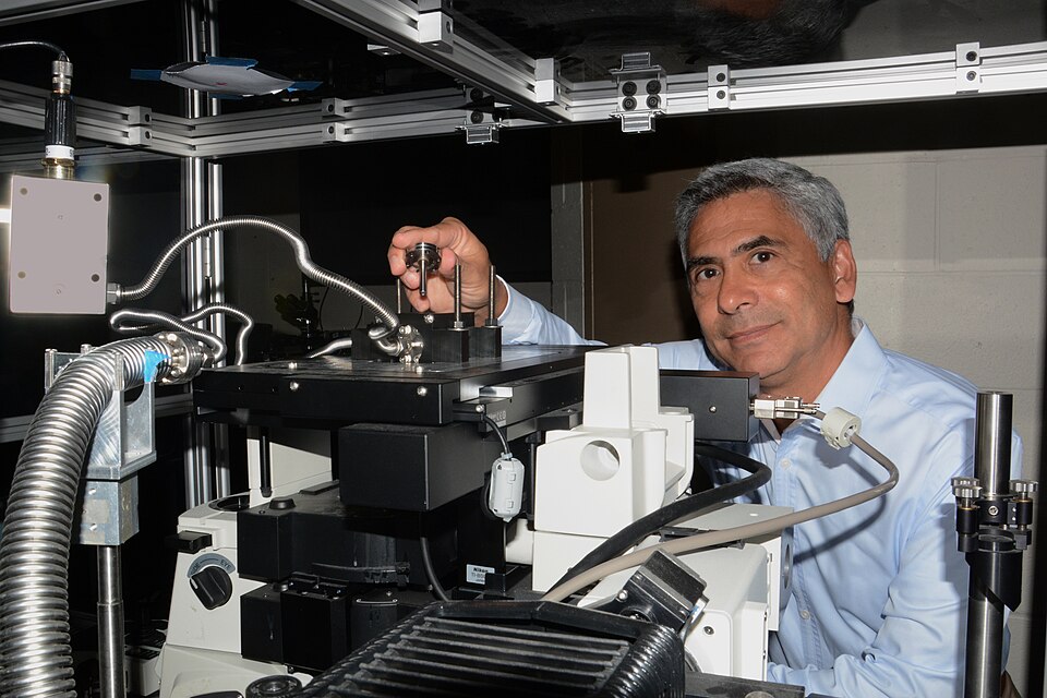 Advancements in AI Enhance Detection of Long Covid and ME Symptoms
