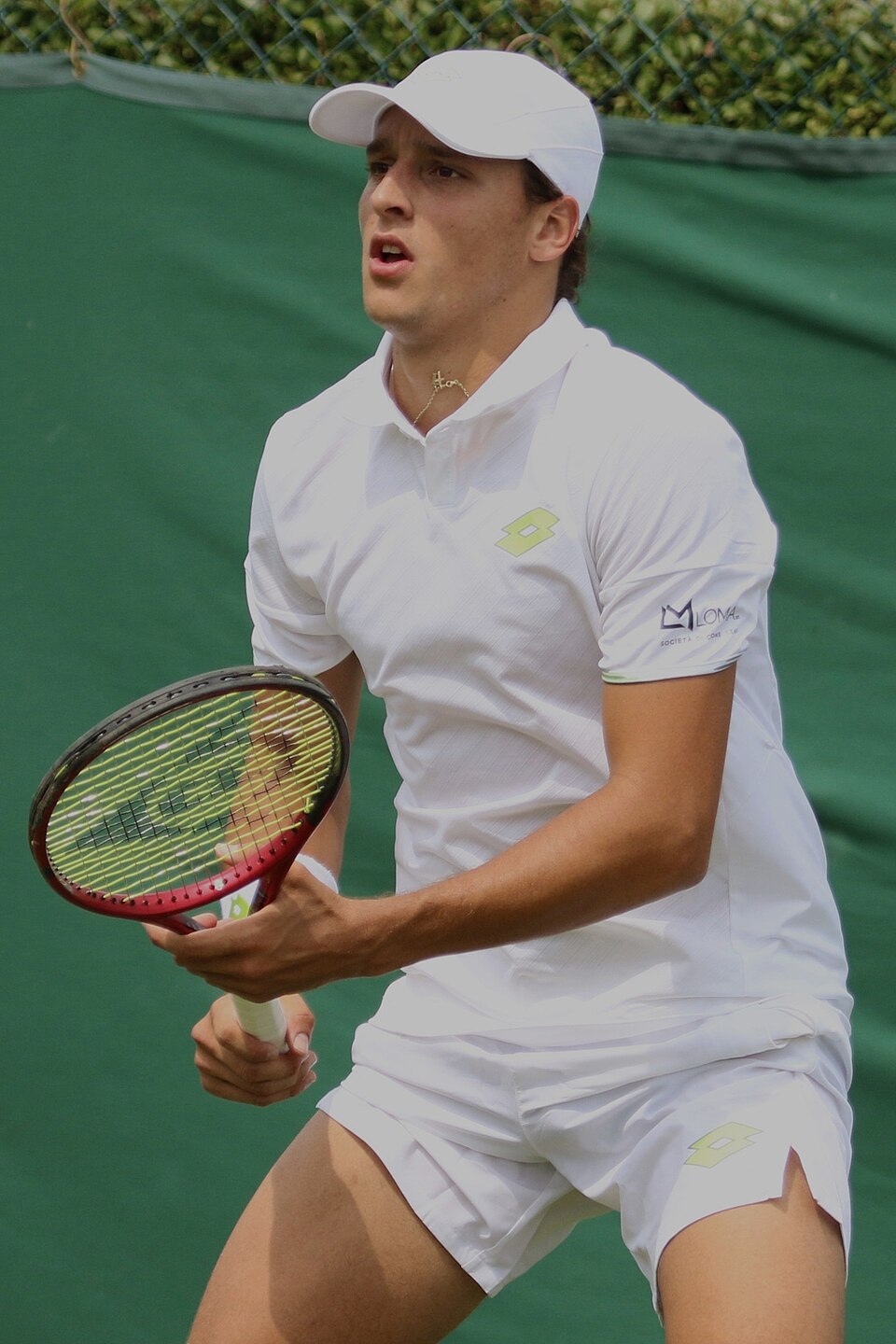 Luciano Darderi Clinches Title at Croatia Open Umag Despite Injury