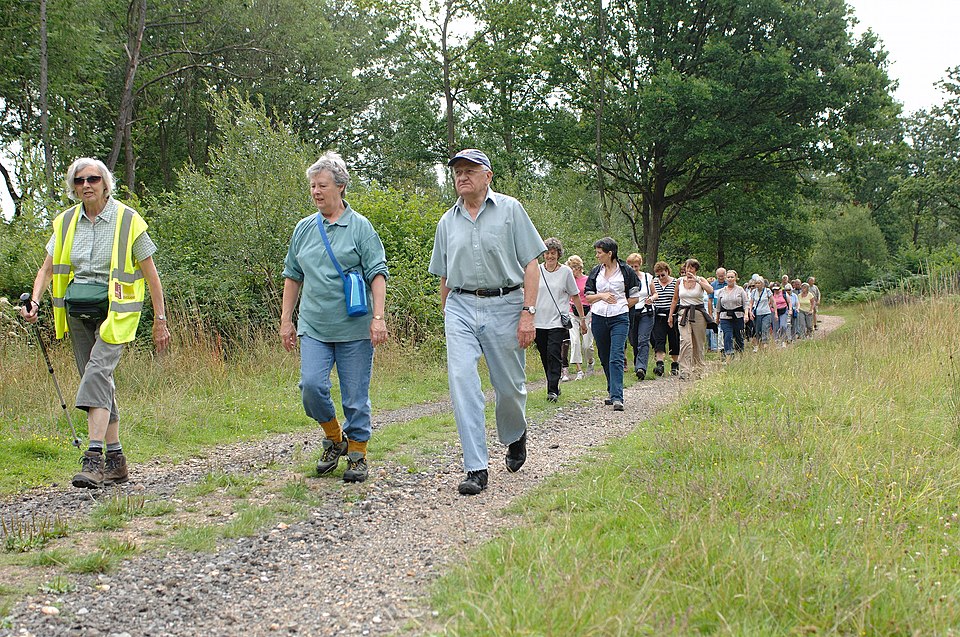 Walking 7,000 Steps Daily Linked to Reduced Heart Disease Risk