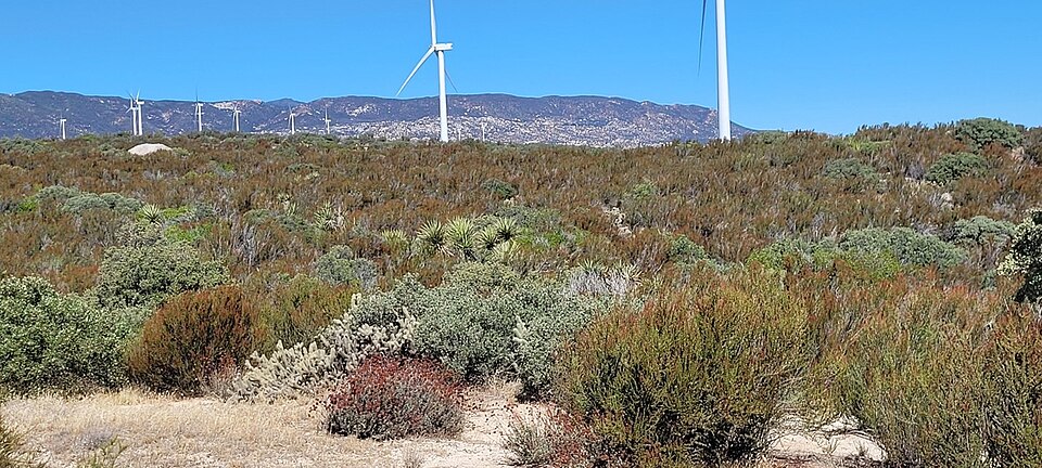 Stonepeak Unveils JouleTerra: A Renewable Land Aggregation Initiative