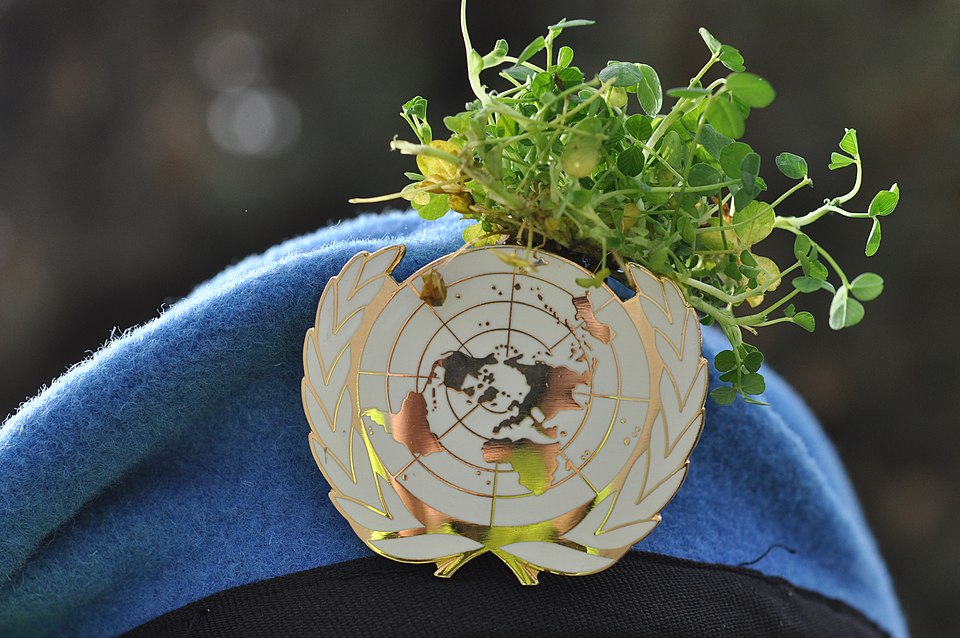 Lebanon Sentences Man to Death for Killing Irish Soldier on UN Mission